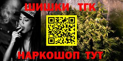 крисы Нальчик